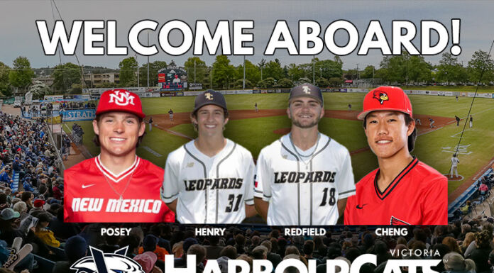 Big bats, big skill coming to Victoria