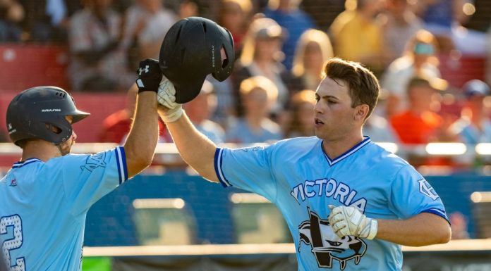 HarbourCats load up on top-school bats with latest signings