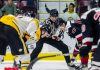 Victoria Grizzlies Fall To Chilliwack Chiefs In Game 4 Coastal Conference Final